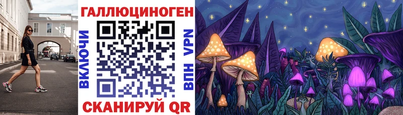 Псилоцибиновые грибы прущие грибы  Ардатов 